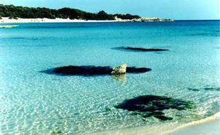 Photo of Others in Marina di Pulsano