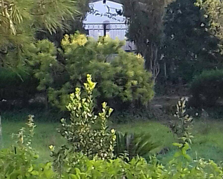 Photo of Others in Municipio 1