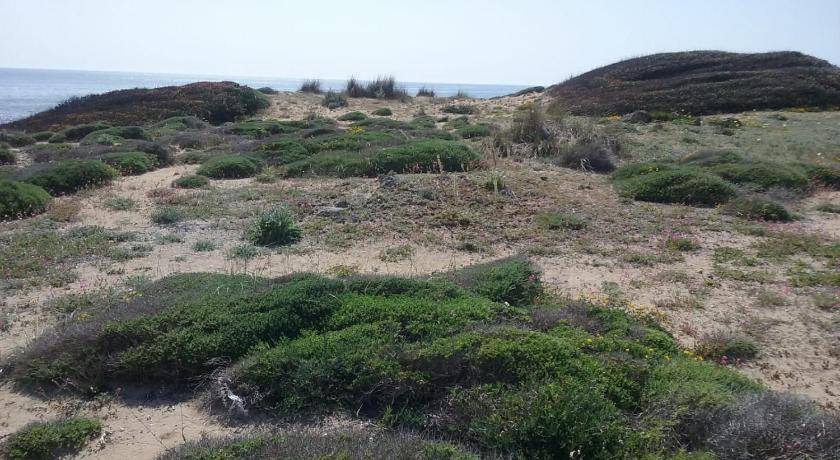 Photo of Others in Torricella