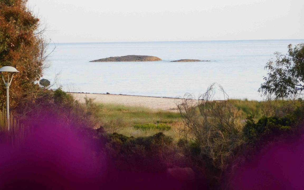 Photo of Others in Torre San Giovanni
