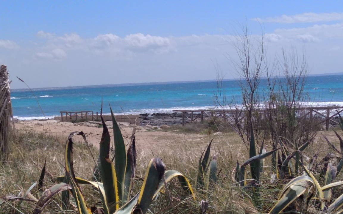 Photo of Outdoor in Padula Fede