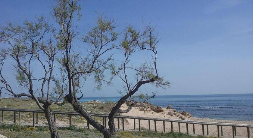 Photo of Others in Torricella