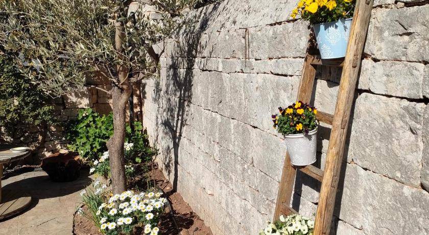 Photo of Others in Alberobello