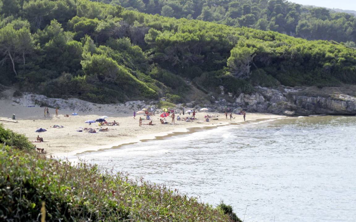 Photo of Others in Mandrione