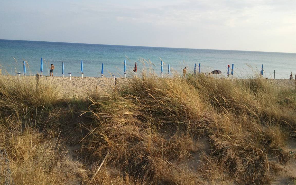 Photo of Outdoor in Torre Castiglione