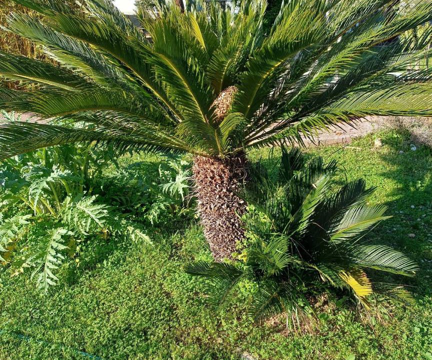 Photo of Outdoor in Municipio 1