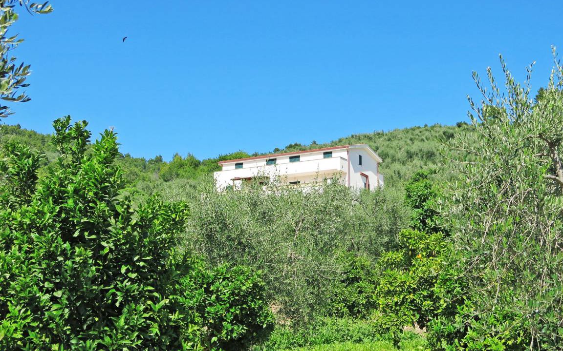 Photo of Others in Peschici