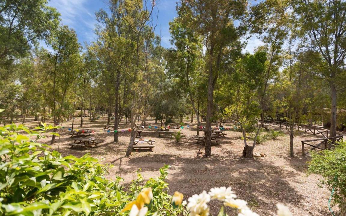Photo of Outdoor in San Donaci