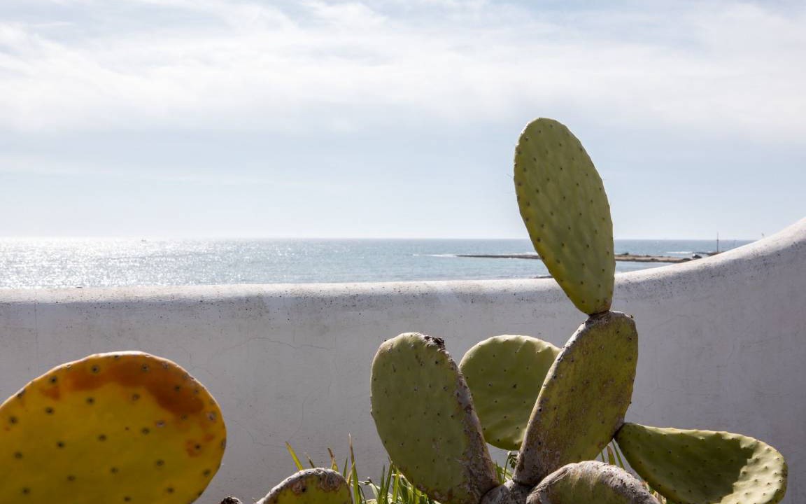 Photo of Others in Torre Lapillo