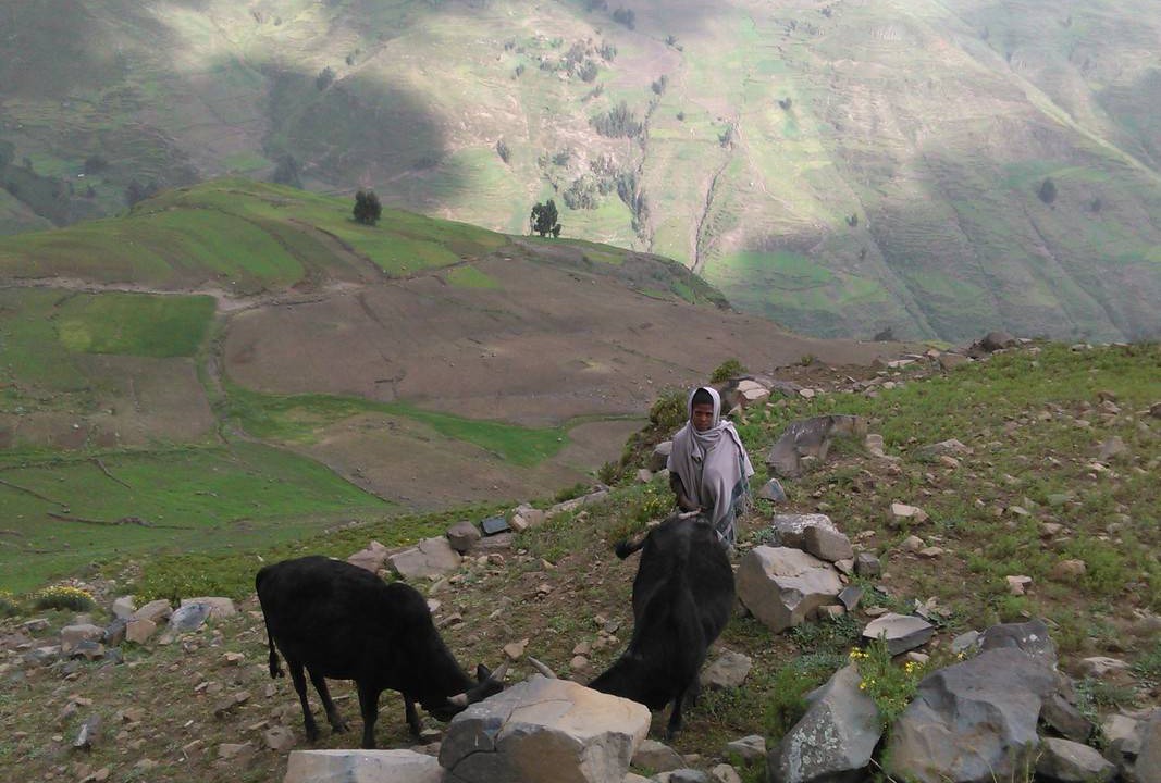 Photo of Others in Lalibela