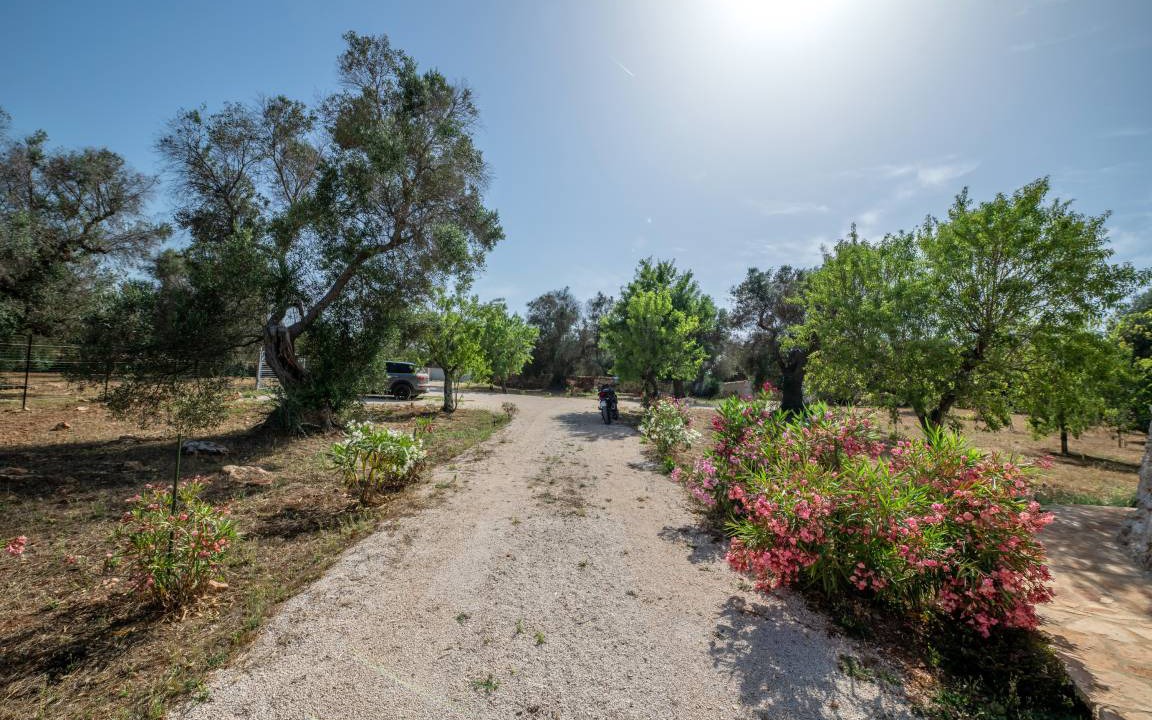 Photo of Others in Ceglie Messapica