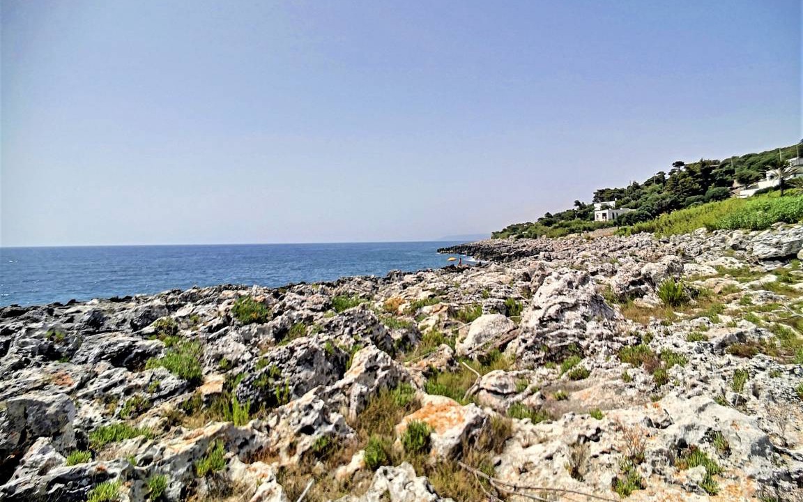 Photo of Others in Marina di Marittima