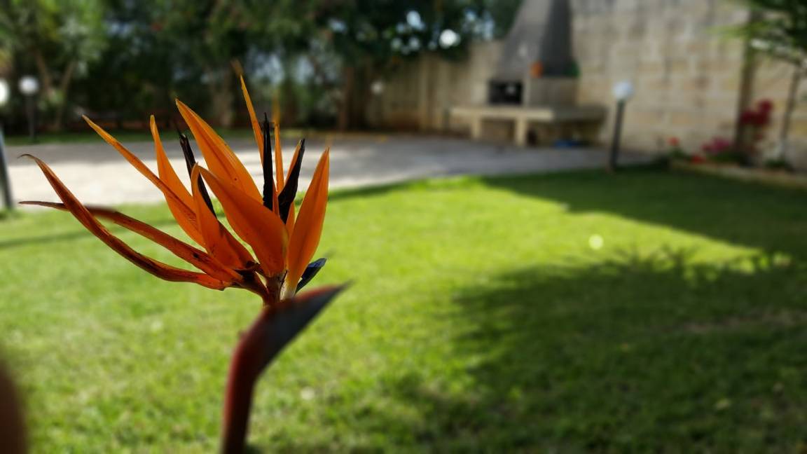 Photo of Others in Martano