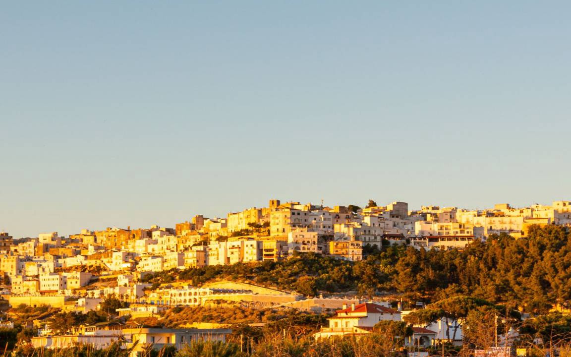 Photo of Buildings in Peschici