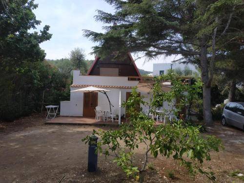 Photo of Others in Peschici