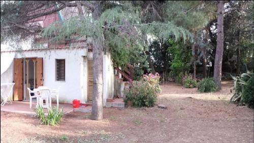 Photo of Others in Peschici