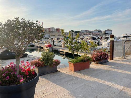 Photo of Others in Bisceglie