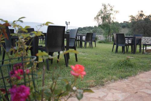 Photo of Others in Carpino