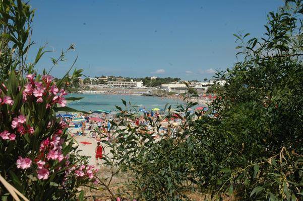 Photo of Others in Marina di Pulsano