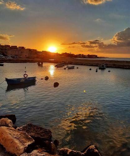 Photo of Outdoor in Mola di Bari