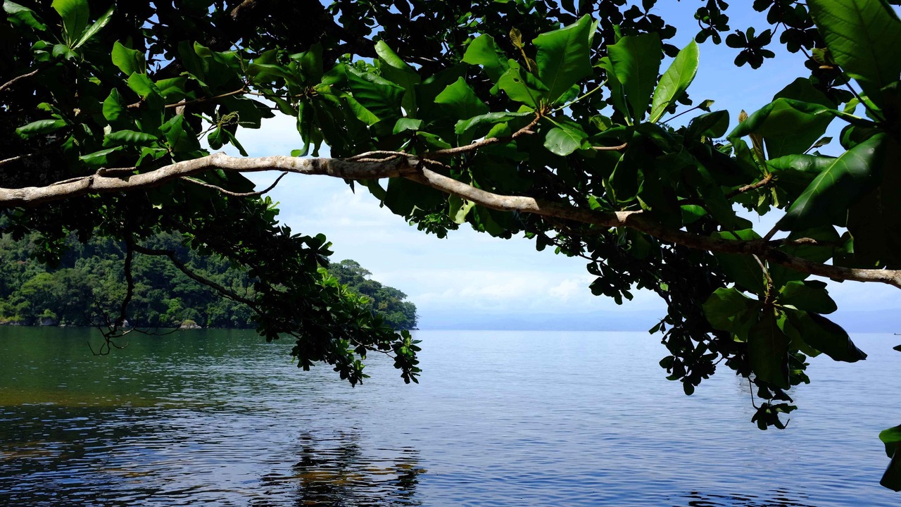 Photo of Outdoor in Toamasina Province