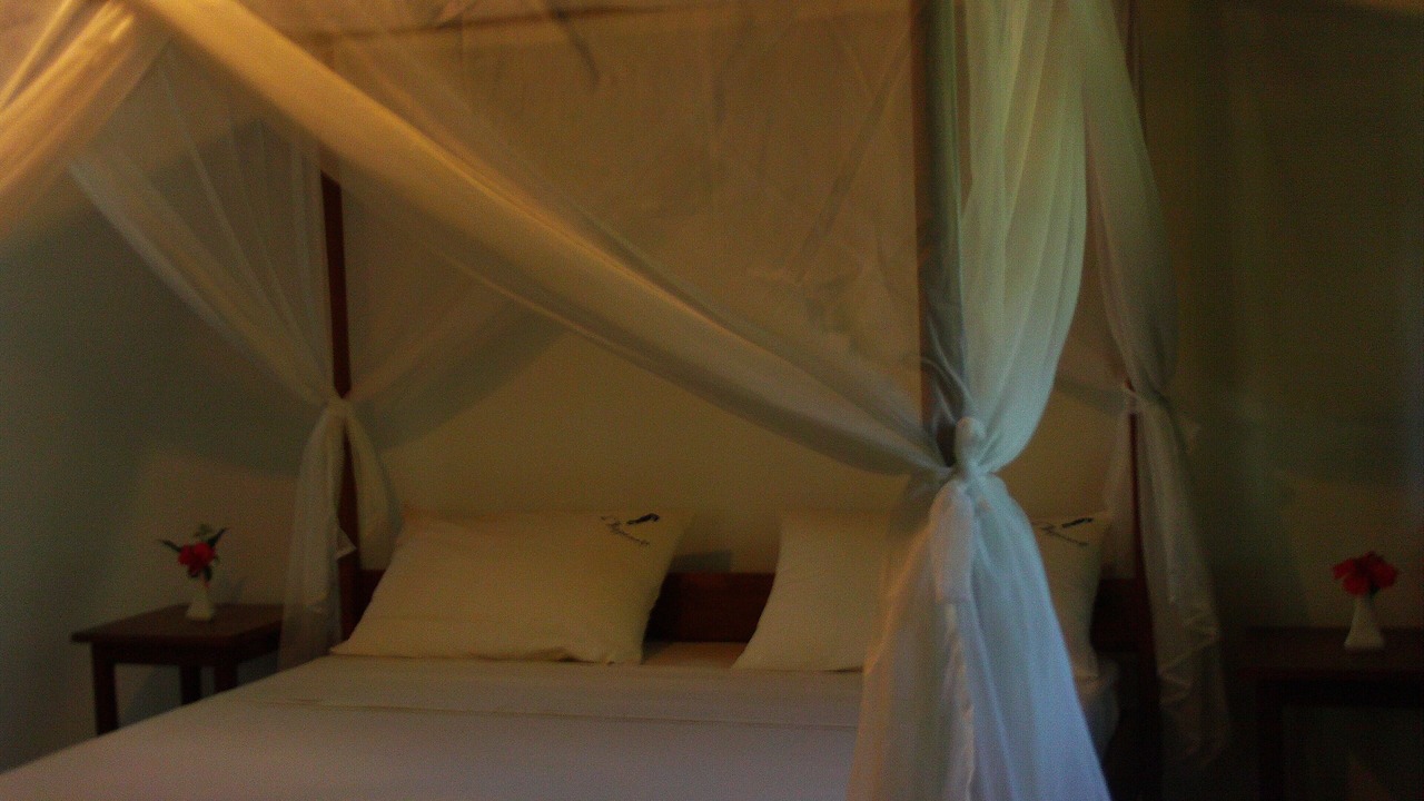 Photo of Bedroom in Toamasina Province