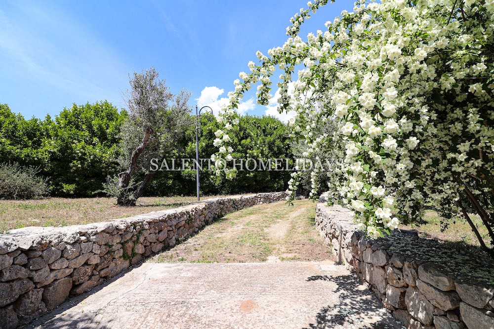 Photo of Outdoor in Specchia