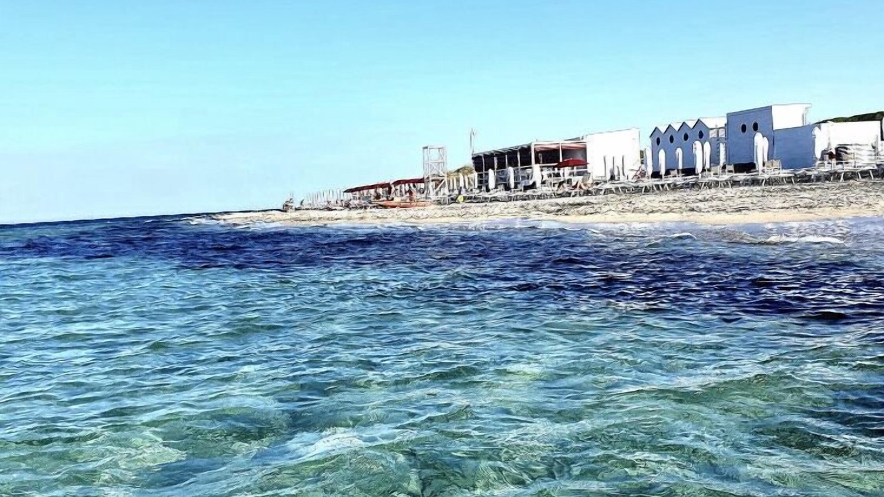 Photo of Others in Struda