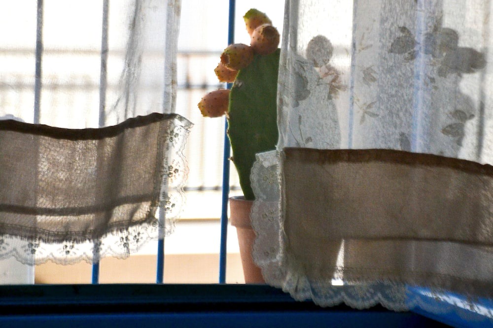 Photo of Others in Canosa di Puglia