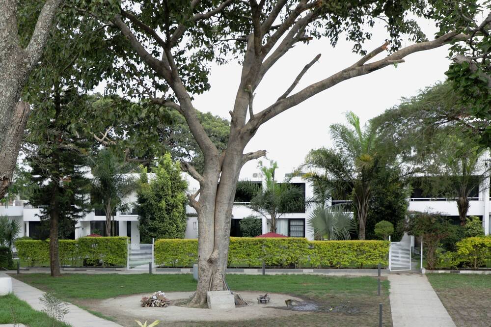 Photo of Outdoor in Awassa