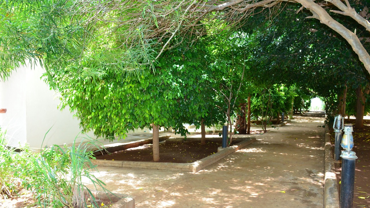 Photo of Outdoor in Arba Minch