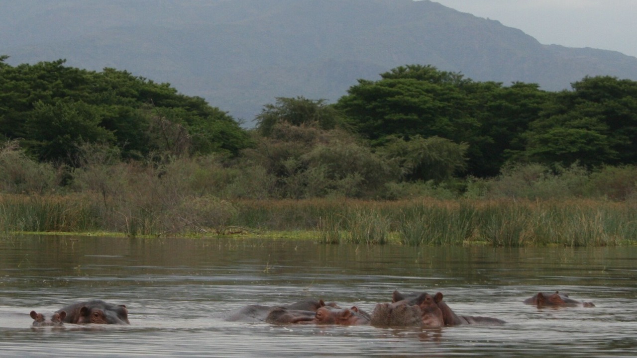 Photo of Outdoor in Arba Minch
