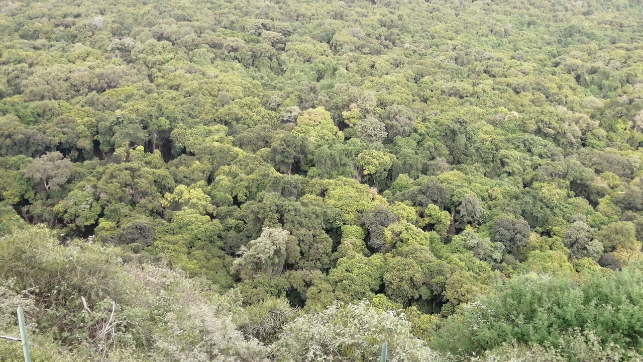 Photo of Outdoor in Arba Minch