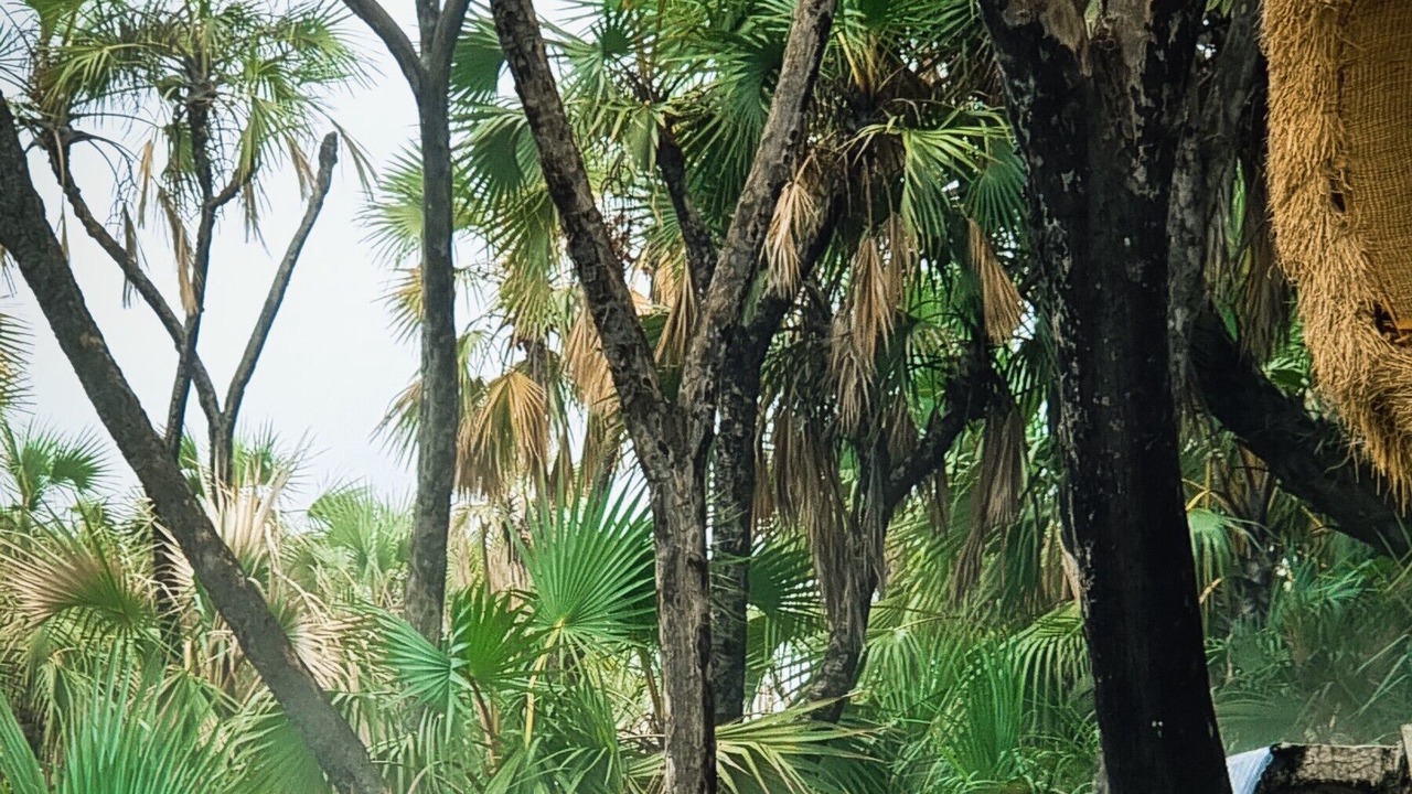 Photo of Outdoor in Afar Region