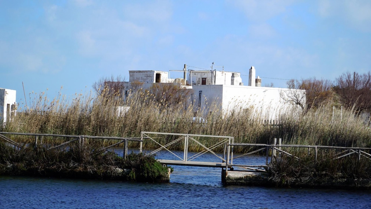 Photo of Others in Marina di Ostuni