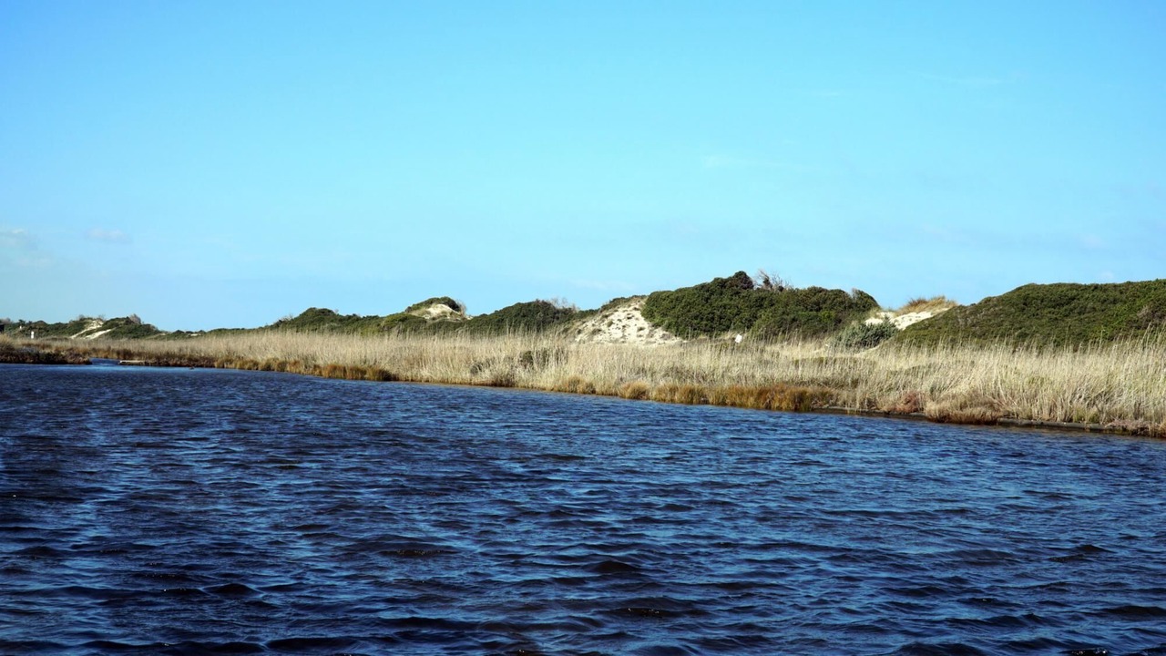 Photo of Others in Marina di Ostuni