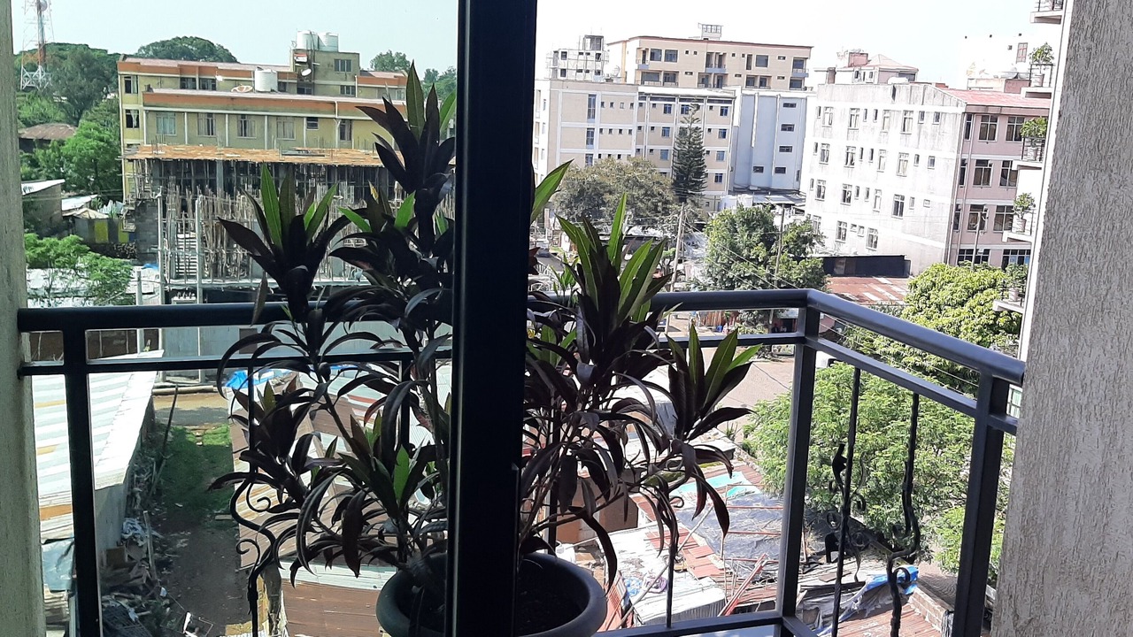 Photo of Others in Bahir Dar