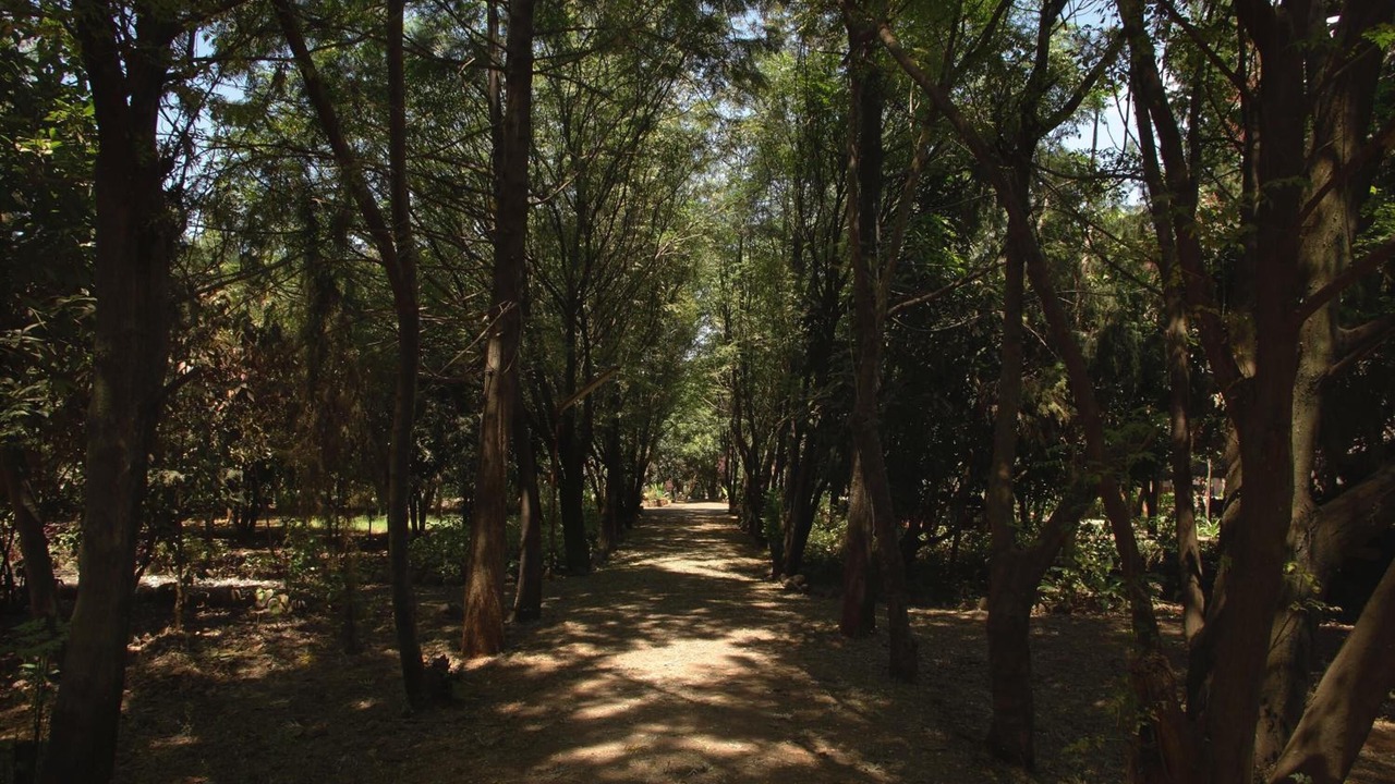 Photo of Outdoor in Bahir Dar