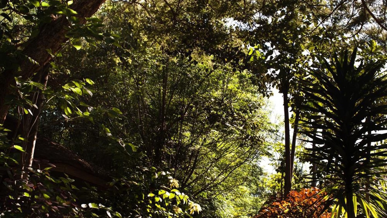 Photo of Outdoor in Bahir Dar