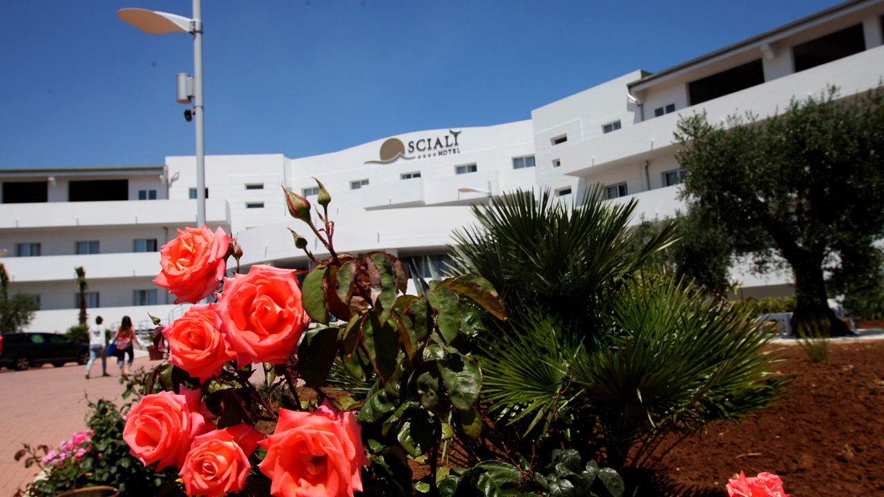 Photo of Outdoor in Scialara