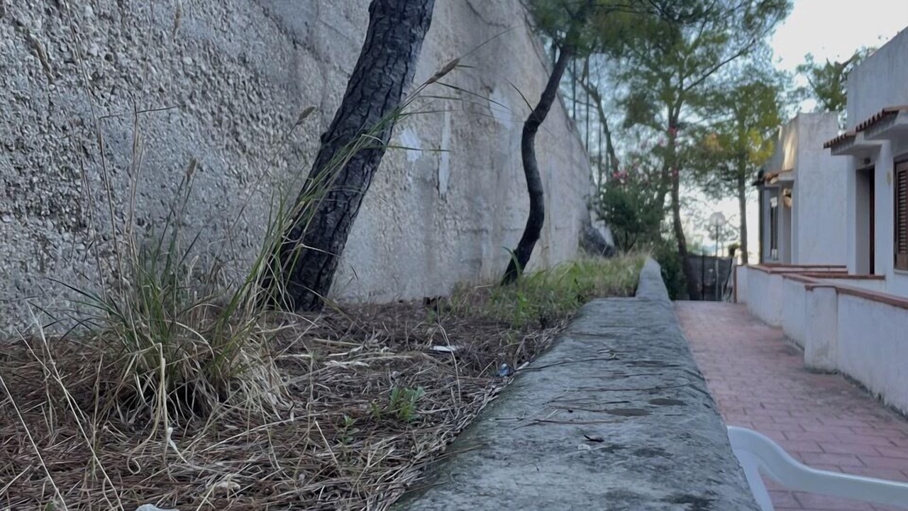 Photo of Others in Peschici