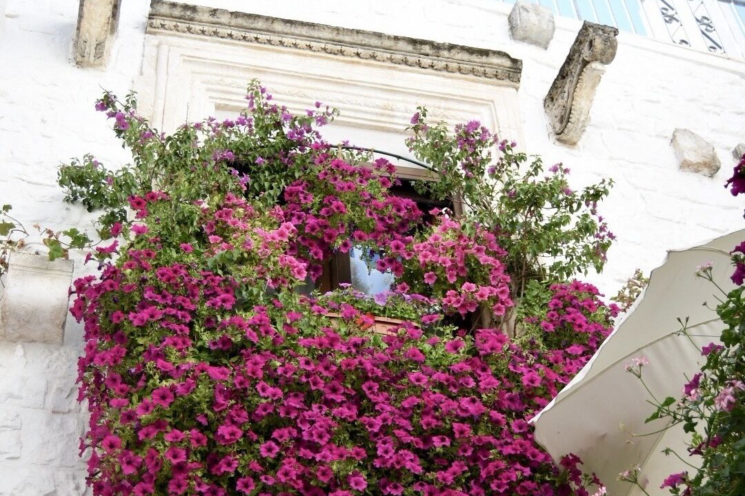 Photo of Outdoor in Old Town Cisternino
