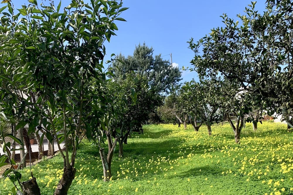 Photo of Outdoor in Lesina