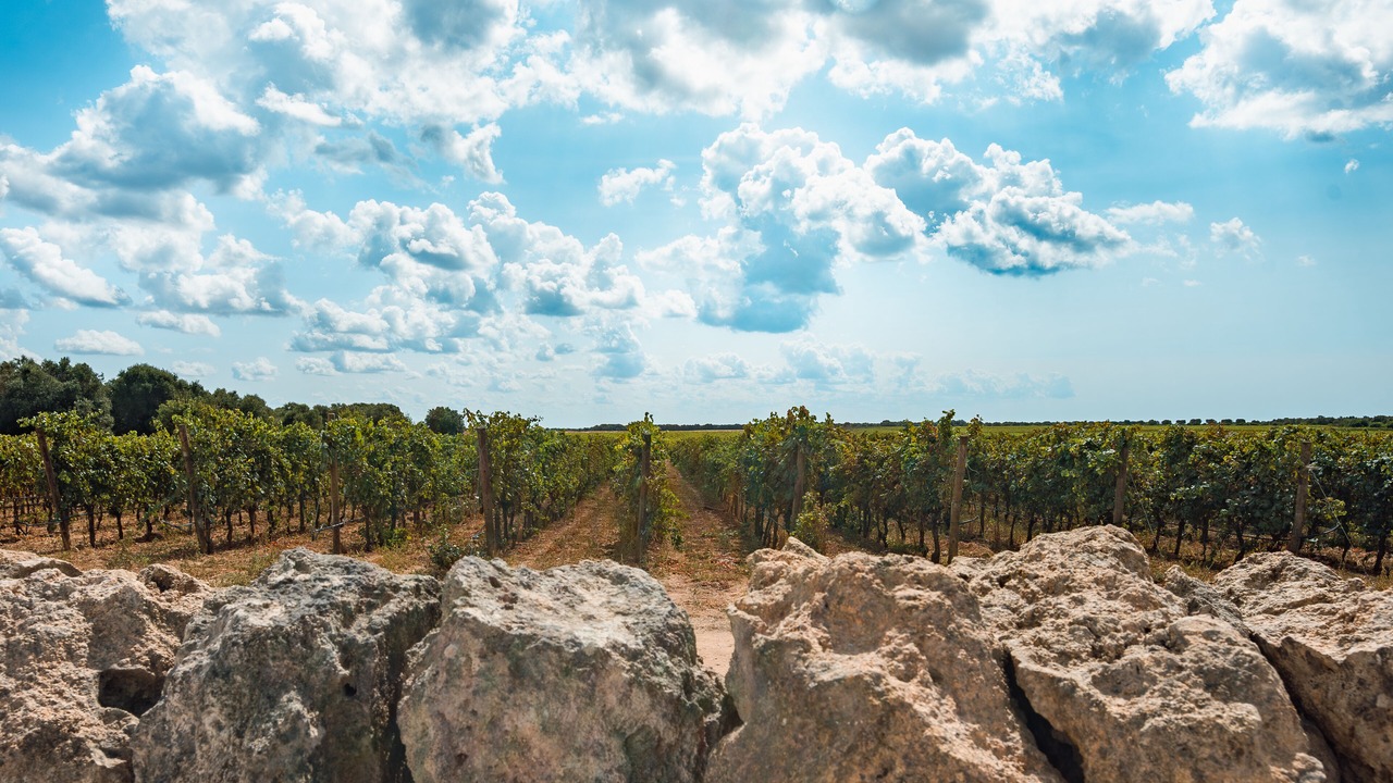 Photo of Outdoor in Specchiarica