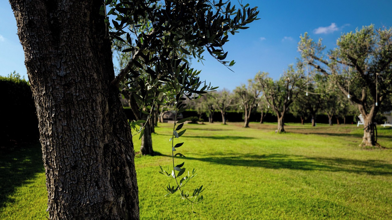 Photo of Outdoor in San Pietro Vernotico