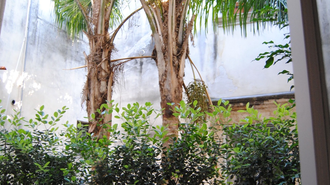 Photo of Outdoor in Old Town