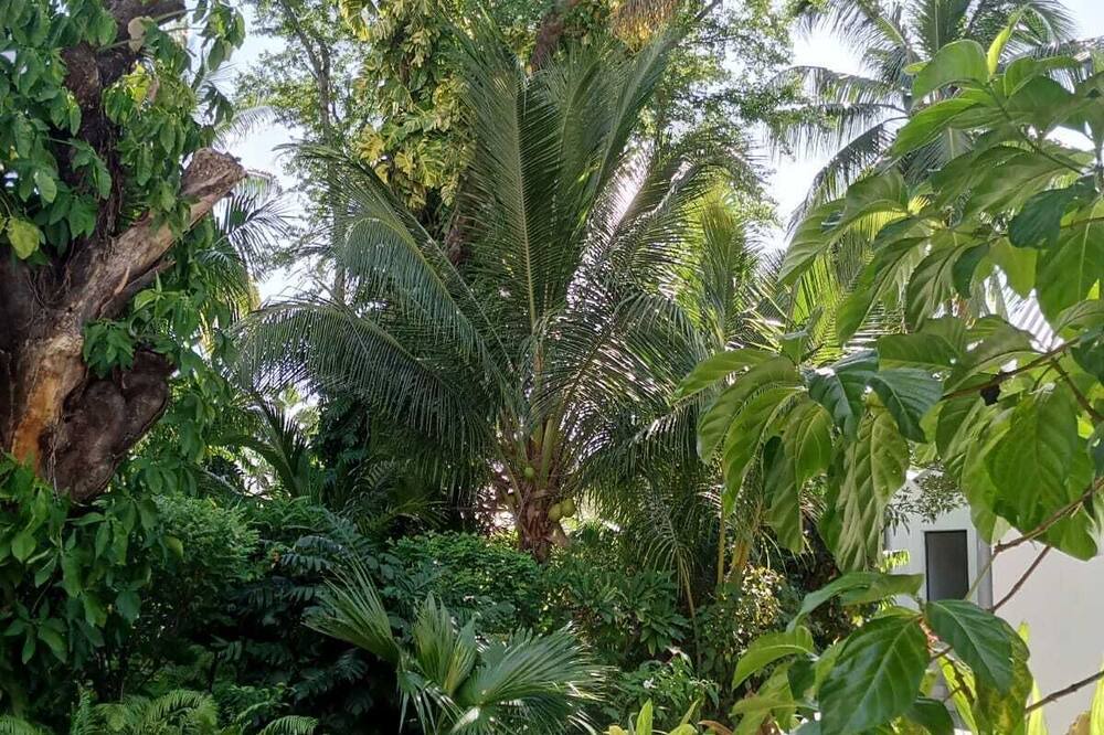 Photo of Outdoor in Mahahanga Tanana