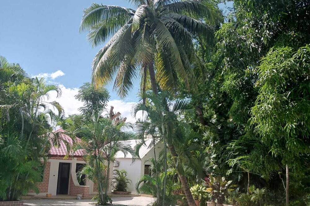 Photo of Outdoor in Mahahanga Tanana