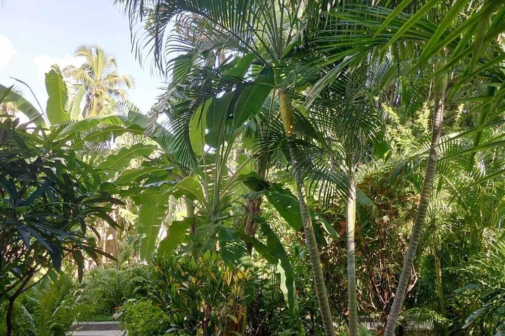 Photo of Outdoor in Mahahanga Tanana