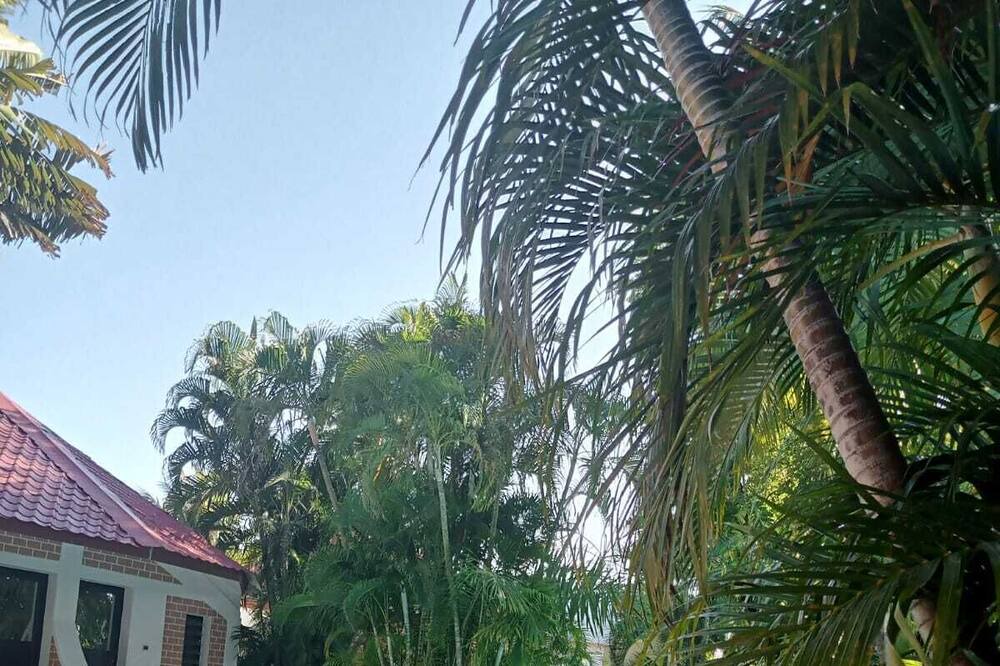 Photo of Outdoor in Mahahanga Tanana